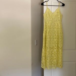 Astr lace dress